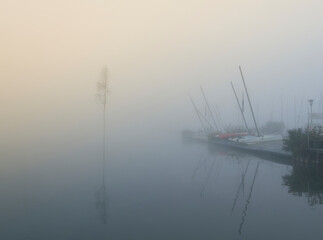 Nebel am Dümmer See bei Lembruch im Naturpark Dümmer, Landkreis Diepholz, Niedersachsen,...