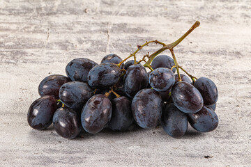 Fototapeta premium Blue juicy sweet ripe Grape bunch