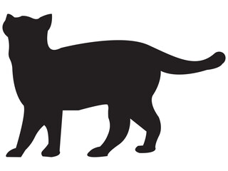 cat vector
