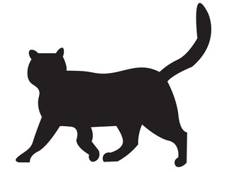 cat vector