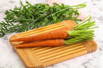 Toung fresh ripe orange carrot