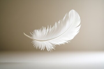 Obraz premium white feather floating in mid-air against plain backdrop with diffused light