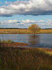 Landschaft im Oppenweher Moor im Naturpark Dümmer, Landkreis Diepholz, Niedersachsen, Deutschland