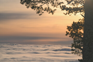 From the Holmenkollen in Oslo you have a sublime view of the fog over Oslo from the mountain and look from above at the clouds with sun above in the depths of winter with snow on roofs and Trees