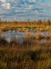 Abendstimmung im Rehdener Geestmoor bei Rehden, Naturpark Dümmer, Landkreis Diepholz, Niedersachsen, Deutschland