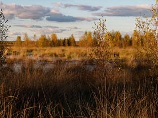 Abendstimmung im Rehdener Geestmoor bei Rehden, Naturpark Dümmer, Landkreis Diepholz,...