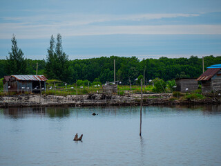 White birds are standing on cable.