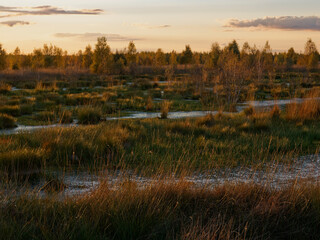 Abendstimmung im Rehdener Geestmoor bei Rehden, Naturpark Dümmer, Landkreis Diepholz,...