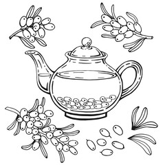 Teapot of tea with sea buckthorn. Hand drawn vector illustration