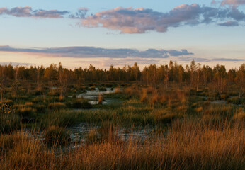 Abendstimmung im Rehdener Geestmoor bei Rehden, Naturpark Dümmer, Landkreis Diepholz, Niedersachsen, Deutschland