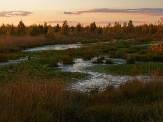 Abendstimmung im Rehdener Geestmoor bei Rehden, Naturpark Dümmer, Landkreis Diepholz, Niedersachsen, Deutschland