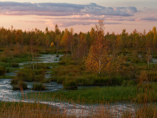 Abendstimmung im Rehdener Geestmoor bei Rehden, Naturpark Dümmer, Landkreis Diepholz, Niedersachsen, Deutschland