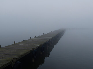 Nebel am Dümmer See bei Lembruch im Naturpark Dümmer, Landkreis Diepholz, Niedersachsen,...