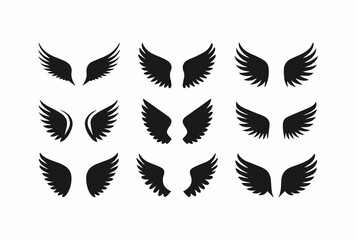 Symmetrical Black Wing Illustrations for Artwork