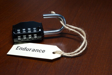 unlock endurance in 2025, open lock with tag