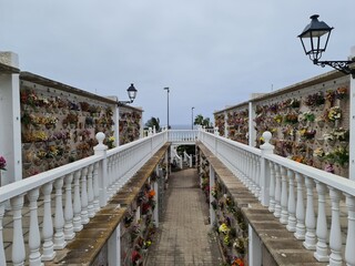 Friedhof unter Palmen