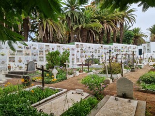 Friedhof unter Palmen 