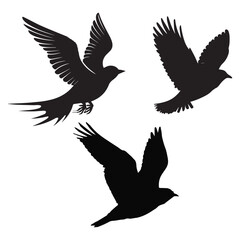 Obraz premium Celloids of birds