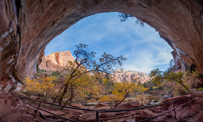  Beautiful nature in Zion national Park, Utah, USA

