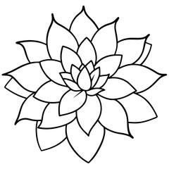 Water Lily for KIDS COLORING BOOKS