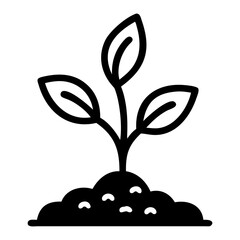 Sprout from the ground isolated Seedling growing in the ground Small green sprout with green leave