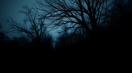 Mysterious nighttime forest scene dark landscape nature photography gloomy atmosphere low angle haunting beauty