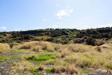 landscape with blue sky