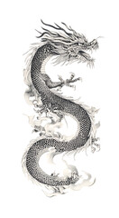 Fototapeta premium Gray scale Asian dragon illustration