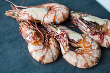 Prawn sea shrimp grilled on black plate