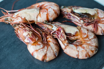 Prawn sea shrimp grilled on black plate