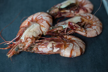 Prawn sea shrimp grilled on black plate