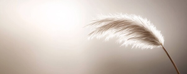 Fototapeta premium a vivid portrait of a single blade of grass, moisture glistening under sunlight, showcasing the simplicity and beauty of transpiration, energy, and growth in harmony