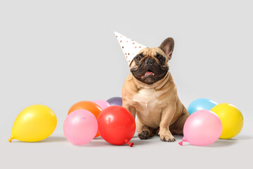 Cute French bulldog in party hat with air balloons on grey background