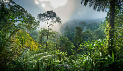Beautiful green forest glade with ancient trees bathed in twinkling sunlight and a soft mist. Captures the serene and untouched beauty of nature, evoking peace and wonder.