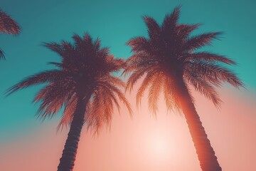 Fototapeta premium Serene Palm Trees Silhouetted Against Colorful Tropical Sunset Sky