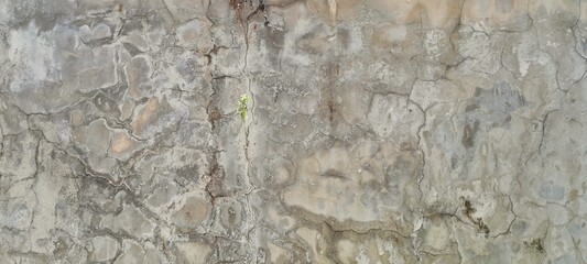 The texture and motif of a wall surface that is dull and full of cracks
