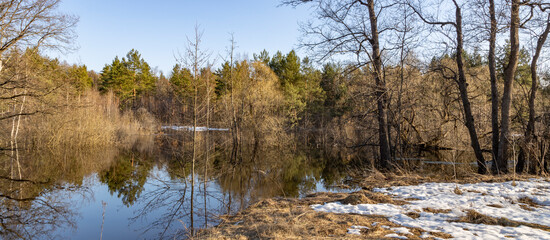 Fototapeta premium Pond with trees in the background