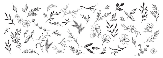  Hand drawn floral ornaments decorative flower leaf and branch for wedding invitation design nature elements vector set