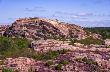 Küstenlandschaft, Burgruine Hornborg, Hamburgsund, Bohuslän, Schweden