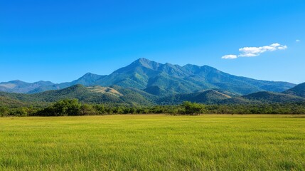 Fototapeta premium Green meadow stretching towards majestic mountain range under clear sky