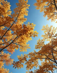 Amber colored leaves of Fagus grandifolia scattered on a clear blue sky , forest landscape, leaf colors, seasonal change