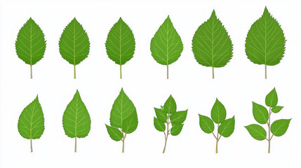 A Vibrant Exploration of Green Leaves