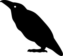 vector illustration of a crow or raven.