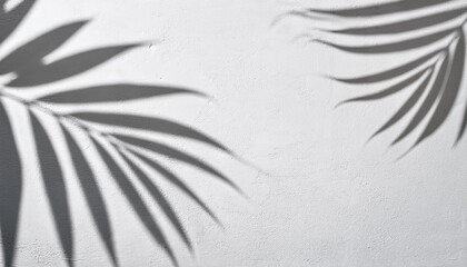 White gray grunge cement texture wall leaf plant shadow background. Summer tropical travel beach with minimal concept. Flat lay palm nature.