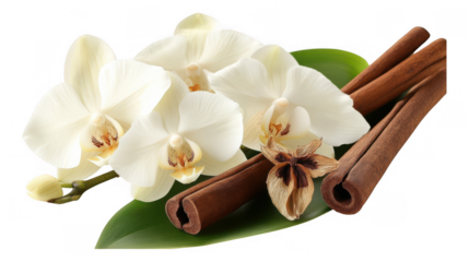 [White orchid arrangement on dark background with cinnamon and cloves] White Orchid Arrangement on Cinnamon Sticks Against Dark Background with Clove Accent