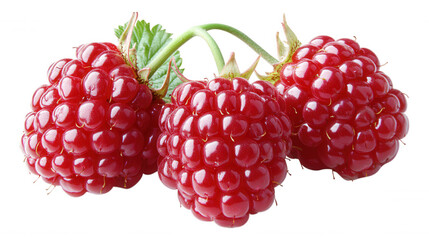 [Cluster of fresh red raspberries] Fresh Red Raspberries Cluster - Close-up of Juicy Berries on Dark Background
