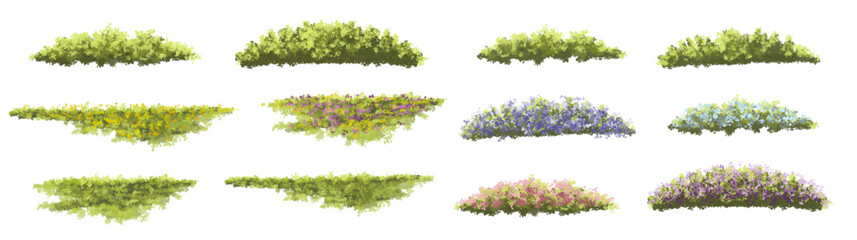 Vertor set of spring blossom tree,blooming plants side view  for landscape elevation and section,eco environment concept design,watercolor shrub illustration,colorful season