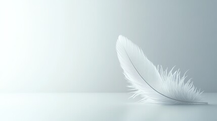 Naklejka premium A single white feather lies on a light blue background.