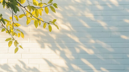 Bright Green Leaves Casting Shadows on White Brick Wall