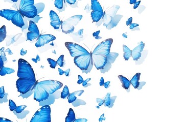 A cluster of vibrant blue butterflies in flight, captured against a white background.